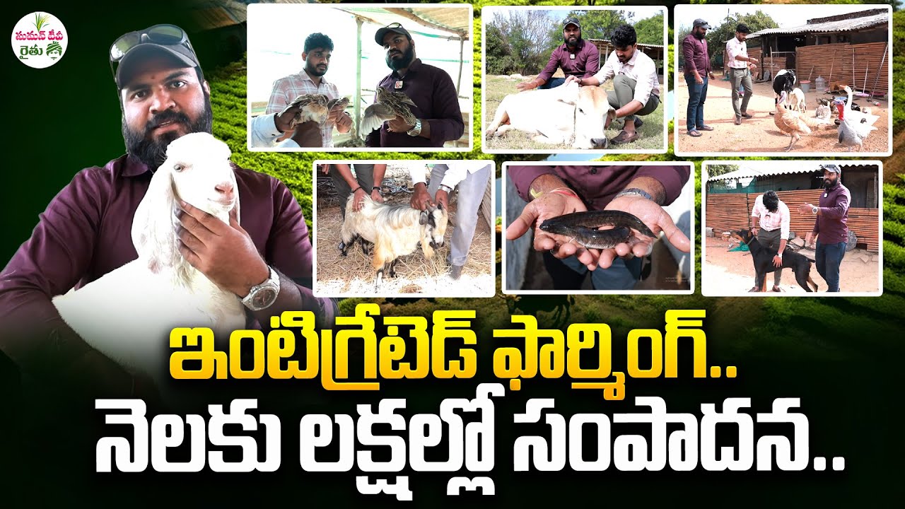 ఇంటిగ్రేటెడ్ ఫార్మింగ్ తో లక్షల్లో సంపాదన..| Integrated Farming | SumanTV Rythu
