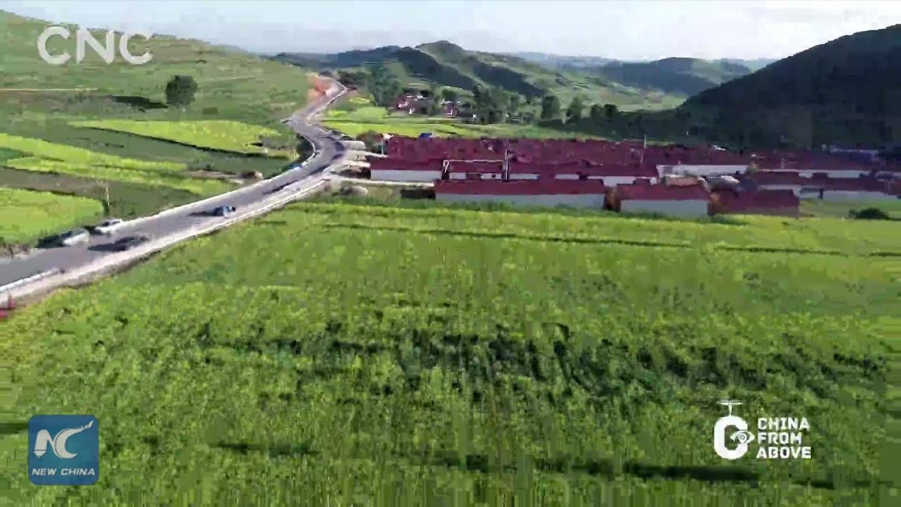 China From Above: Rape flowers blossom in Ningxia