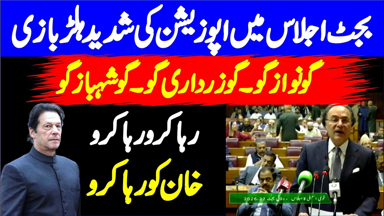 Federal Budget 2026-27 |Finance Minister Muhammad Aurangzeb Budget Speech | PTI Protest Against Govt