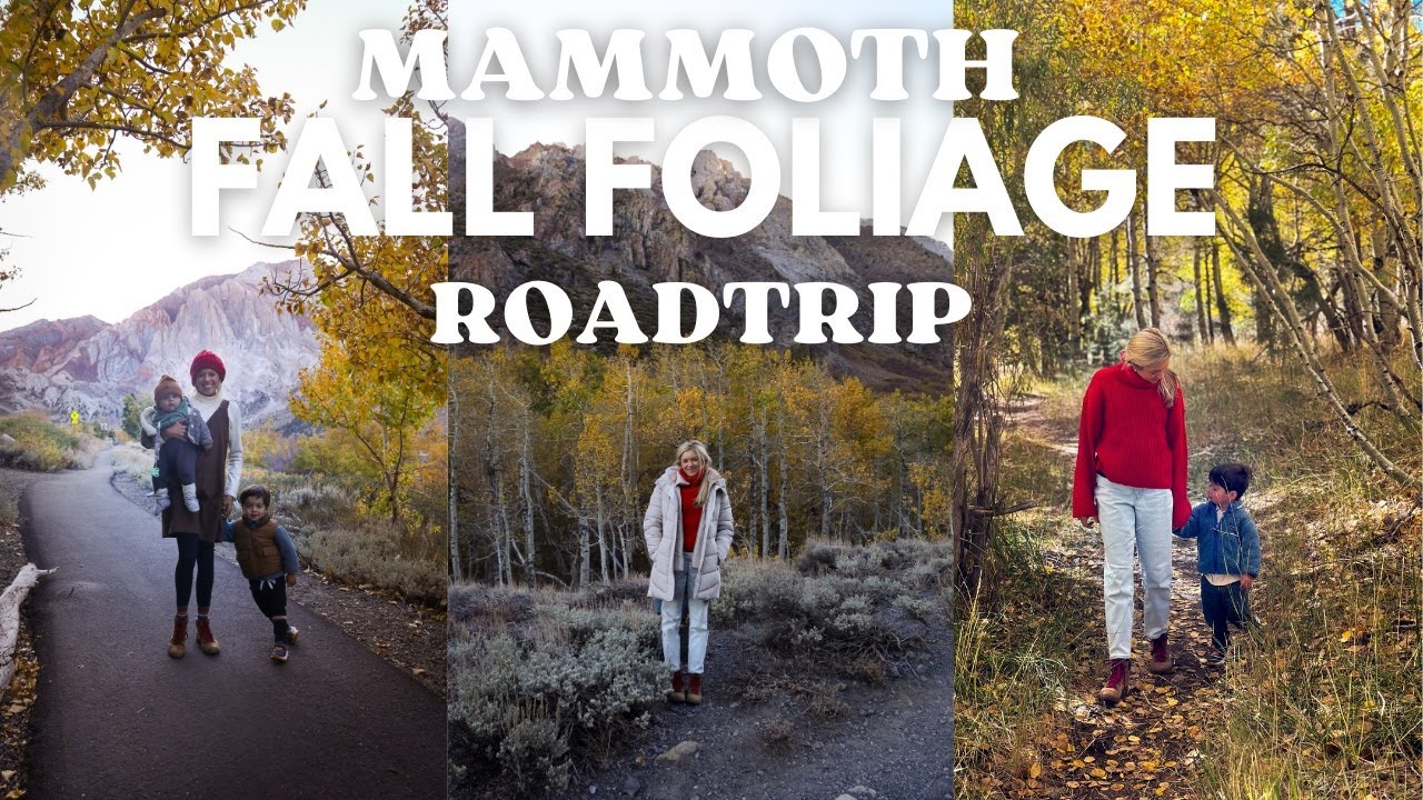 Best Places to See Fall Leaves Near Mammoth!