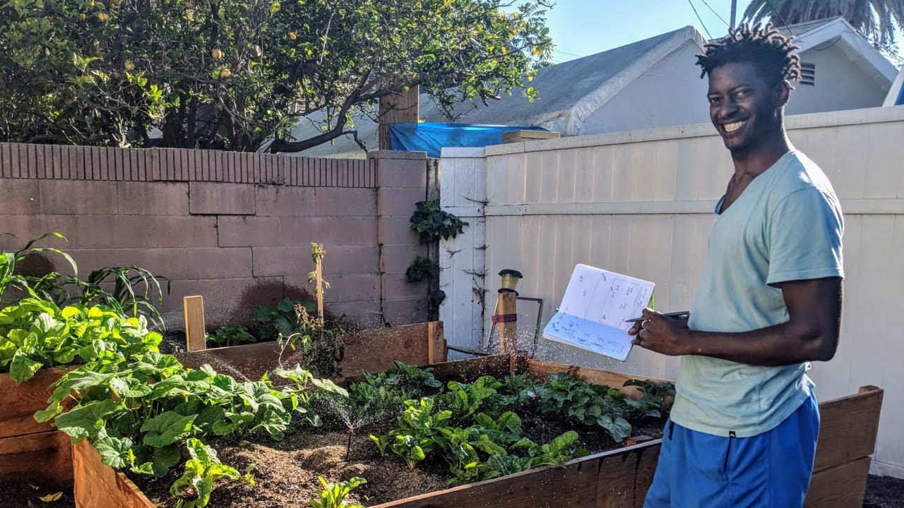 Jamiah's Crop Swap - A Nextdoor Story