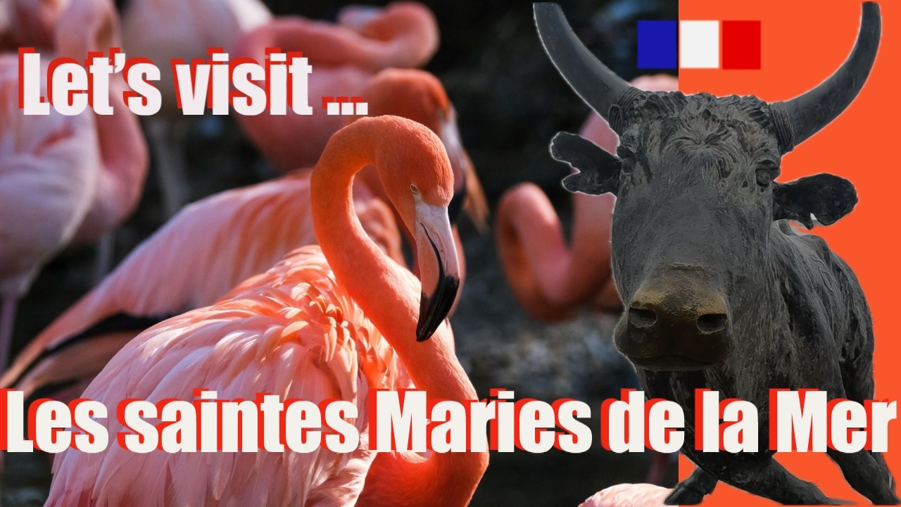 Camargue France les saintes maries de la mer Gypsy pilgrimage bull flamingo birds