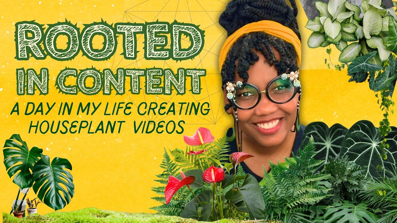 Working as a Social Media Manager at an Online Plant Nursery