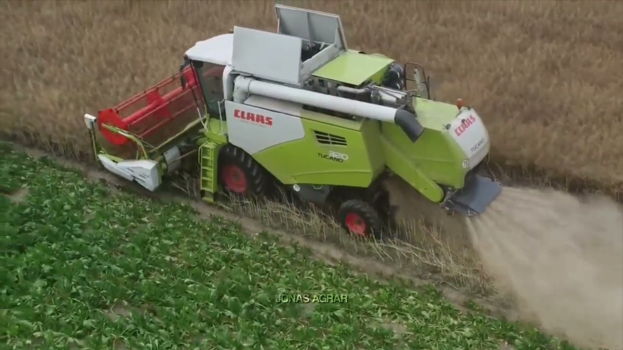 Claas Tucano 320 im Raps