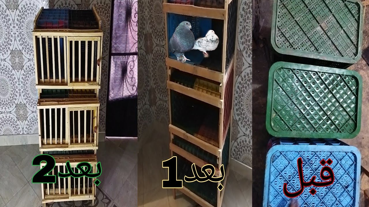 صنع أقفص للحمام ني تكلوفا بسيطة