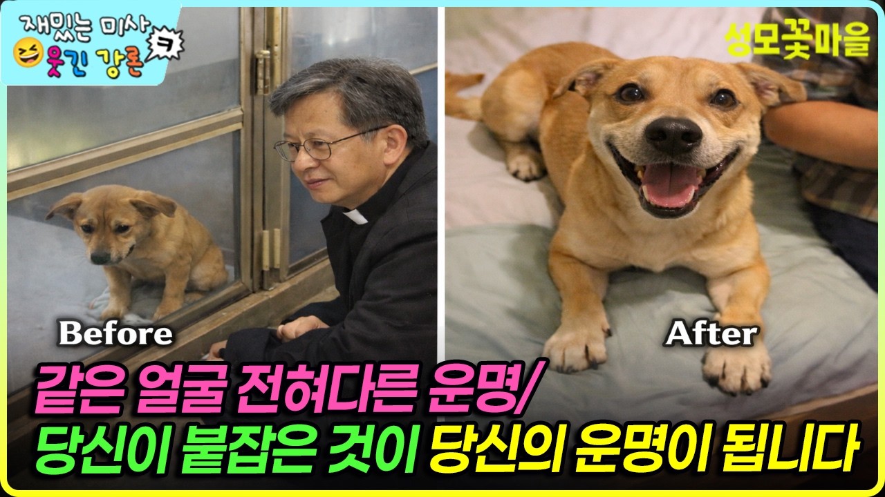 [재밌는 미사 웃긴 강론] 같은 얼굴 전혀 다른 운명/당신이 붙잡은 것이 당신의 운명이 됩니다 #유머강연 #웃긴강론 #성모꽃마을 #천주교 #가톨릭