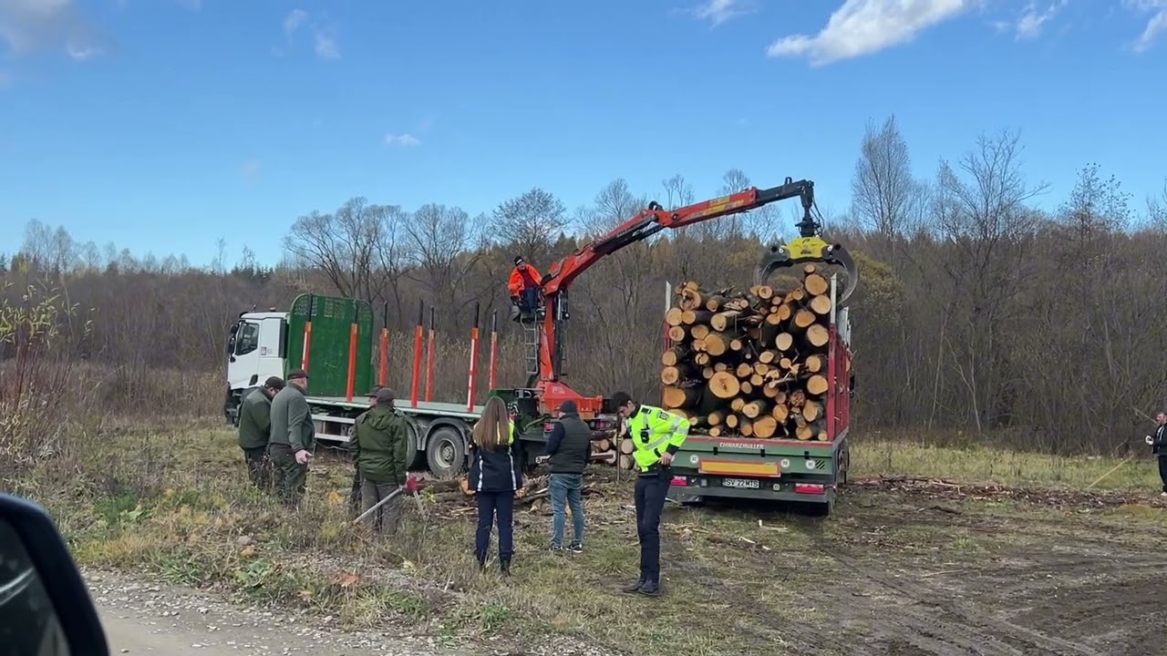 ⛔️SV 22 MTS⛔️ Dosar penal, camion + 31mc confiscati❗️