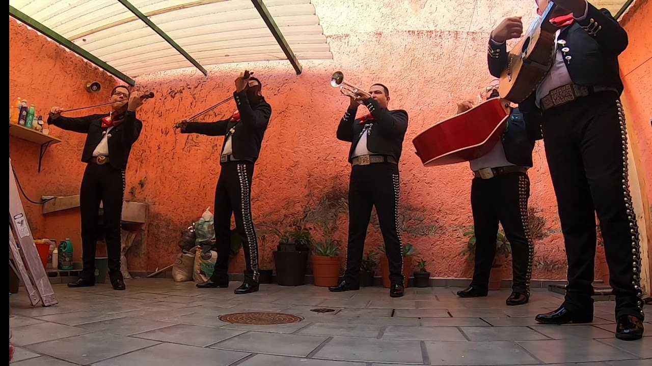 Si nos dejan / Mariachi Tradición Tapatía