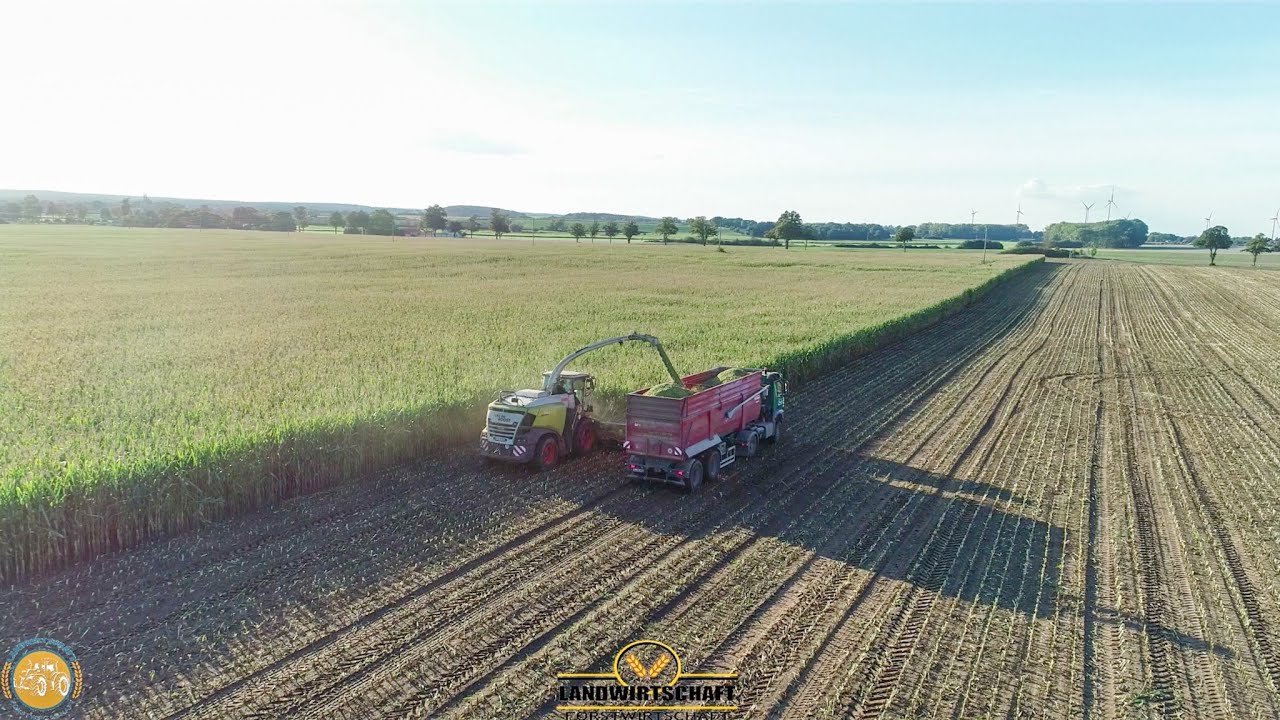 Flächenleistung Vorprogrammiert! 400 t/h. Claas Jaguar 990! 925PS *I LIKE BIG BOOST* Lohn häckseln