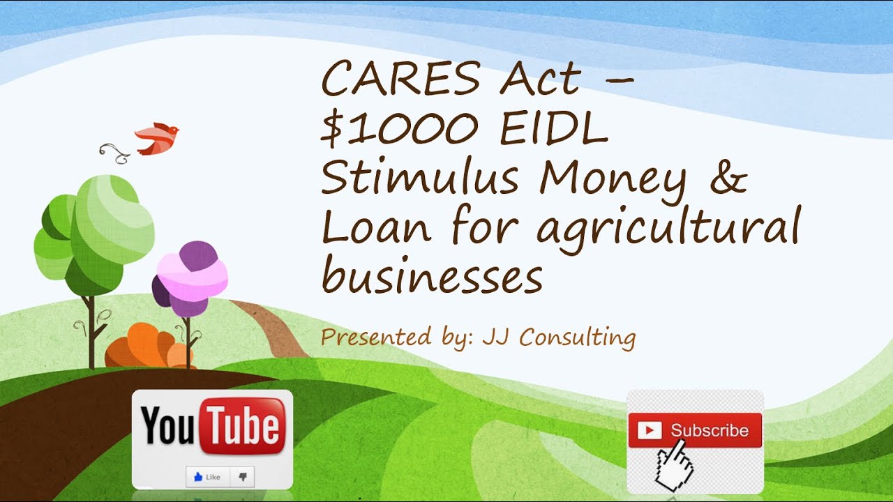 How to fill out SBA EIDL Grant Application | Agricultural Businesses | Free $1000 Stimulus Money