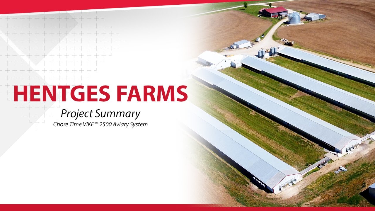 Chore Time VIKE™ 2500 Aviary System - Hentges Farms Project Summary