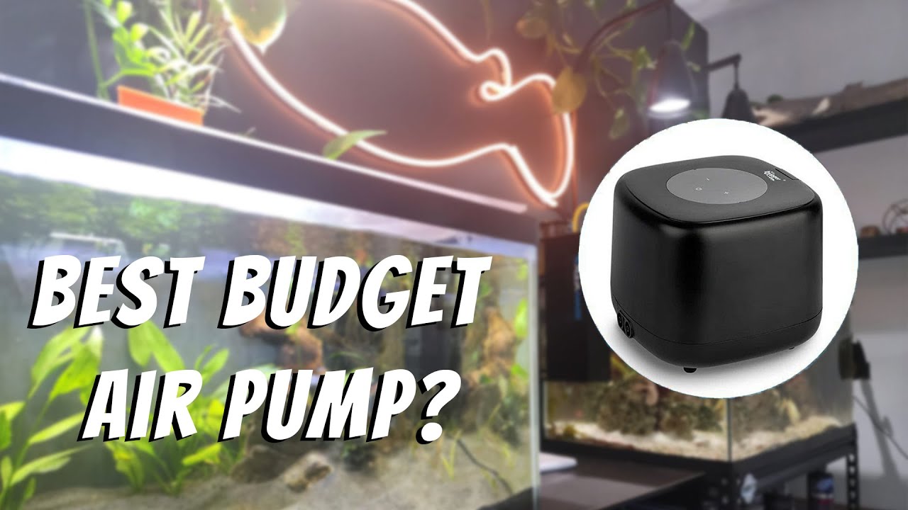 HYGGER air pump unboxing!  QUIET and BUDGET FRIENDLY