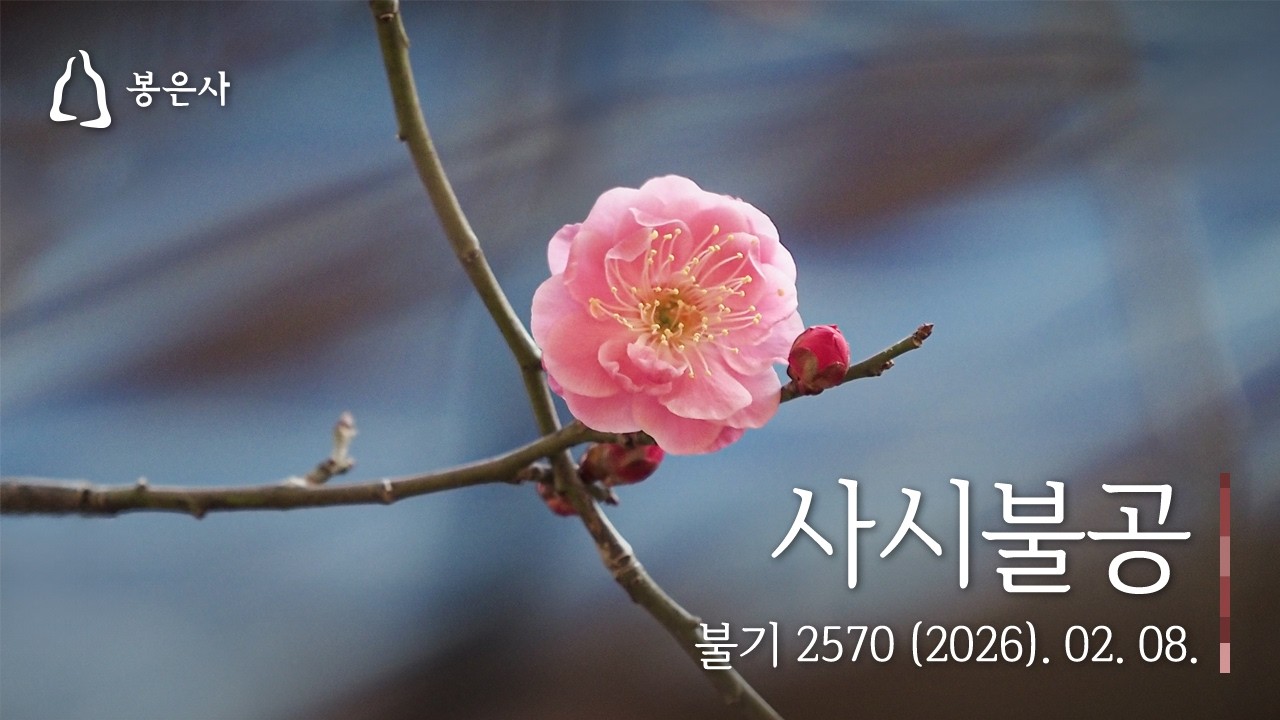 봉은사 사시불공(2026.02.08.)