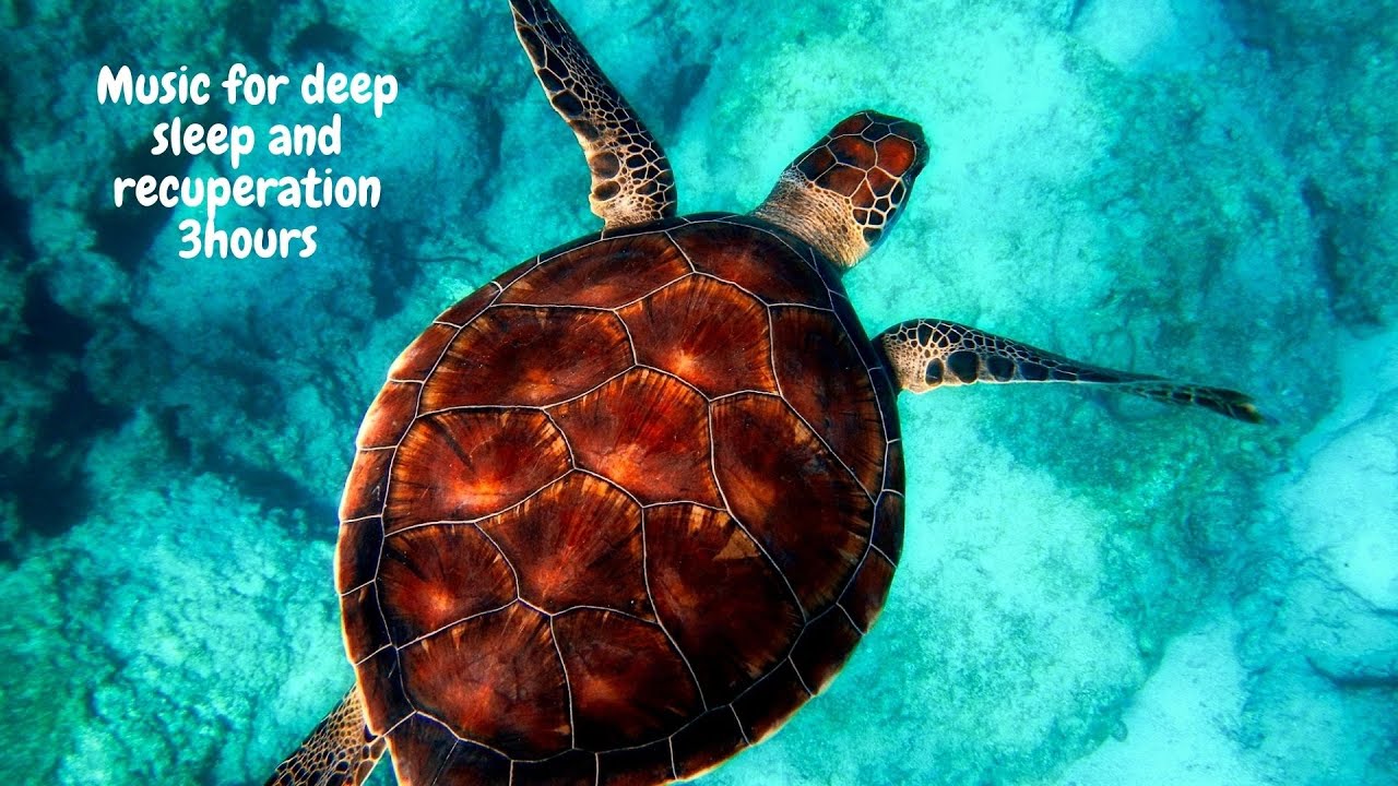 Music for deep sleep and recuperation