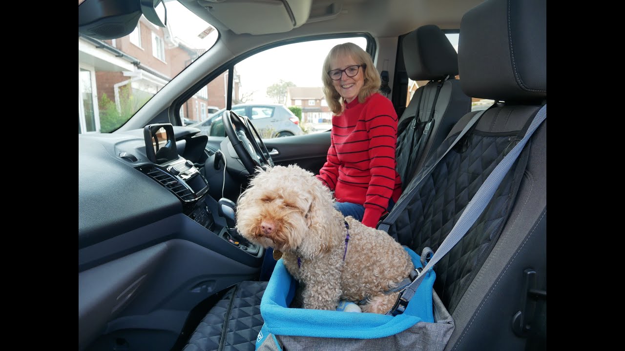 Internal transfer WAV - Sue and her dog Monty are ready to go in just 1 minute 45 seconds.