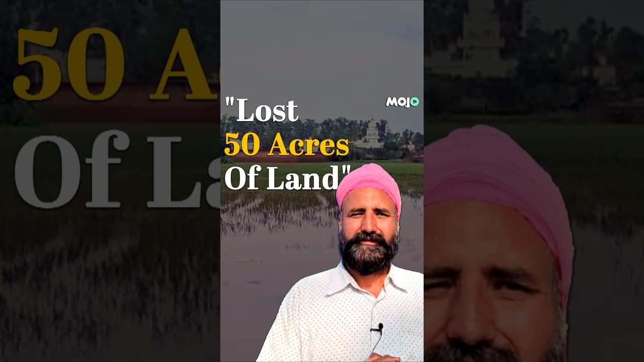 Punjab Rains | Massive Floods Submerge Entire Fields, Farmer Says " Lost 50 Acres of Land" 