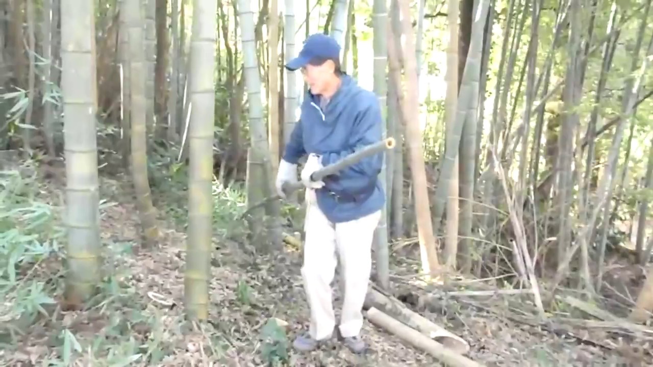 親戚総出で竹林の伐採