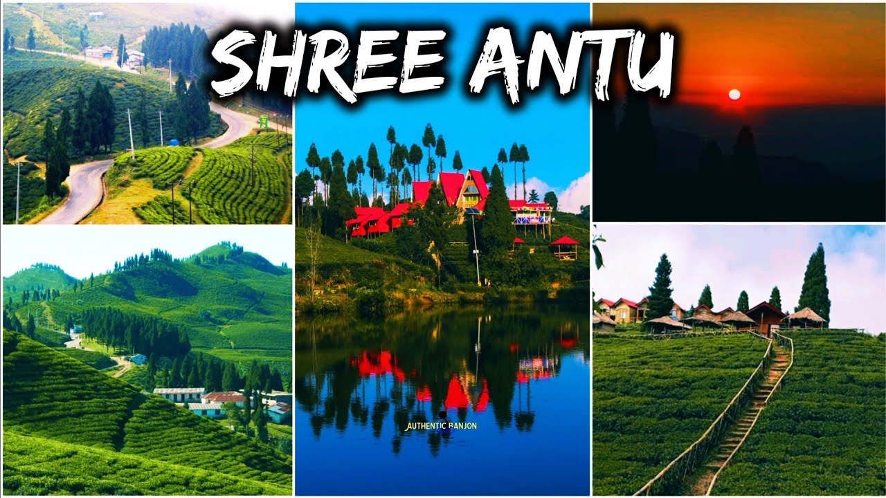 Shree Antu Vlog / Shree Antu Ilam / Shree Antu Ilam Nepal / Shree Antu Homestay/ Shree Antu Sunrise