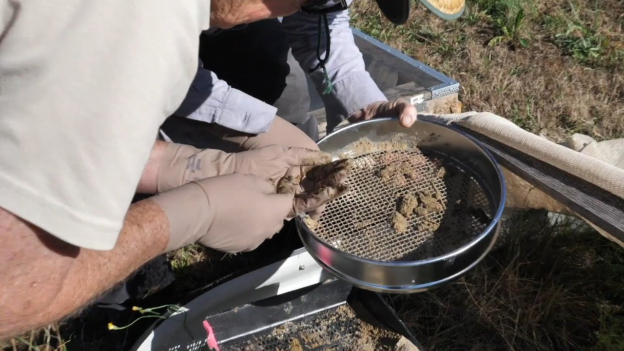 Dung Beetle Nursery Network Project - Episode 2: Harvesting from nurseries