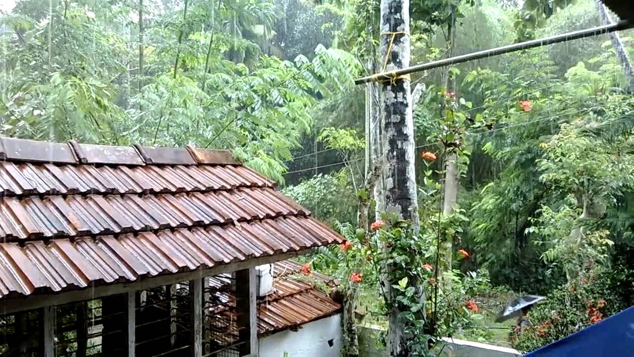 Kerala rain video pampady kottayam   better rain