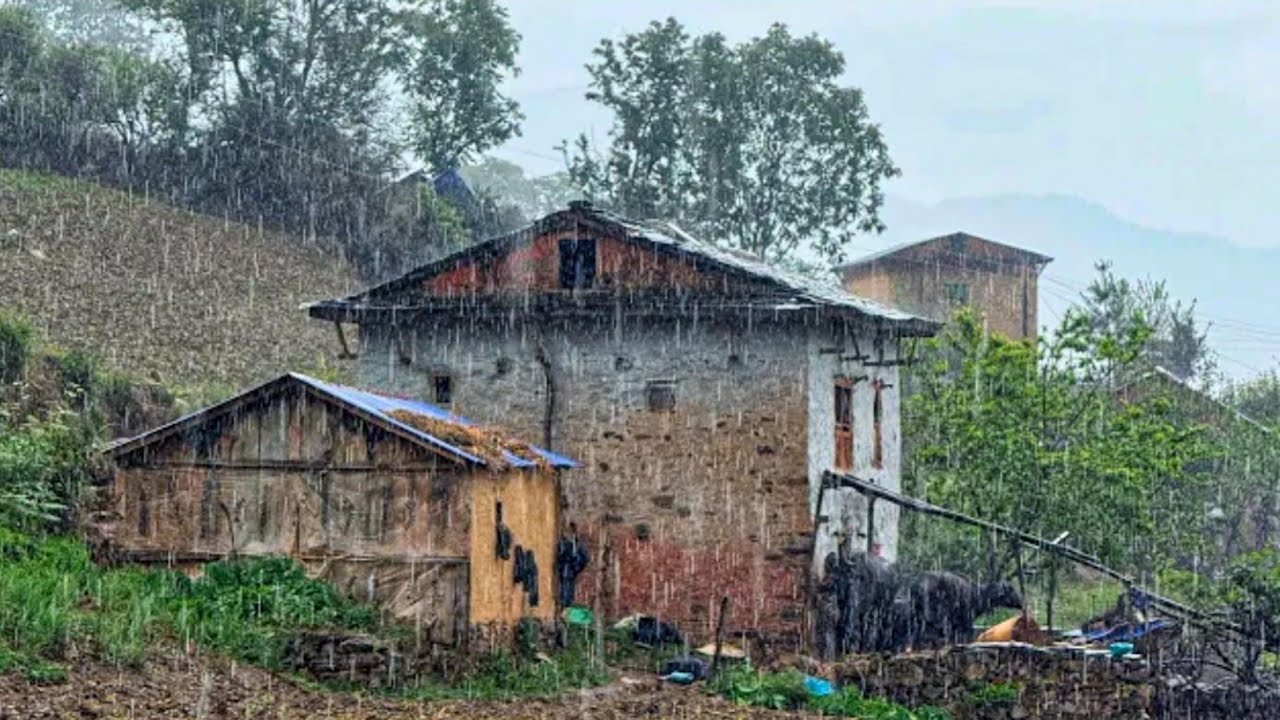 Discovering the Unspoiled Beauty of Rural Nepali Mountain Village Life living In Balance With Nature