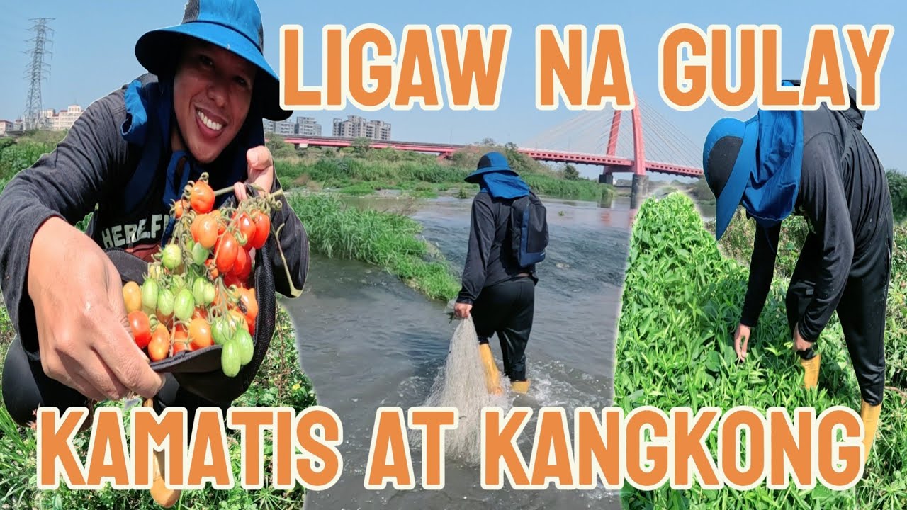 Wow!! Nagkalat na ang mga ligaw na gulay sa ilog