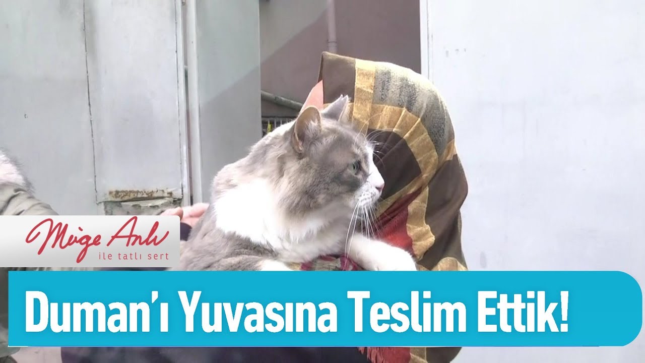 Duman'ı sıcak yuvasına teslim ettik! - Müge Anlı ile Tatlı Sert 24 Şubat 2020