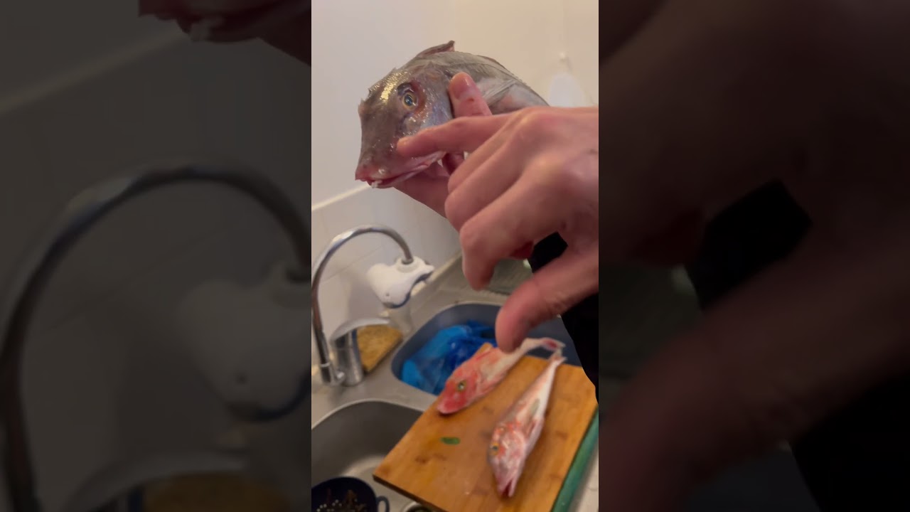 Recette du grondin japonais &agrave; la maison #poisson #cuisinemaison