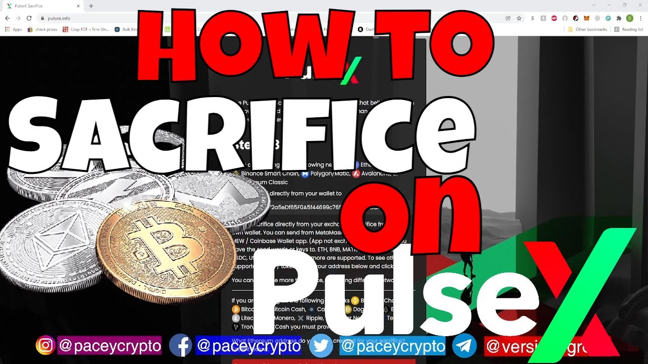 Pulse X Sacrifice | How to Sacrifice Non-EVM Compatible Coins To The Pulse X Sacrifice #pulsex