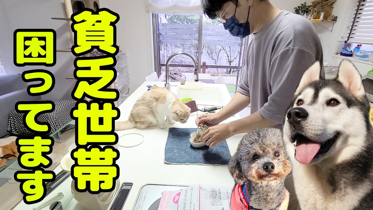 貧乏世帯とうとうクレジットカードを止められちゃいました。