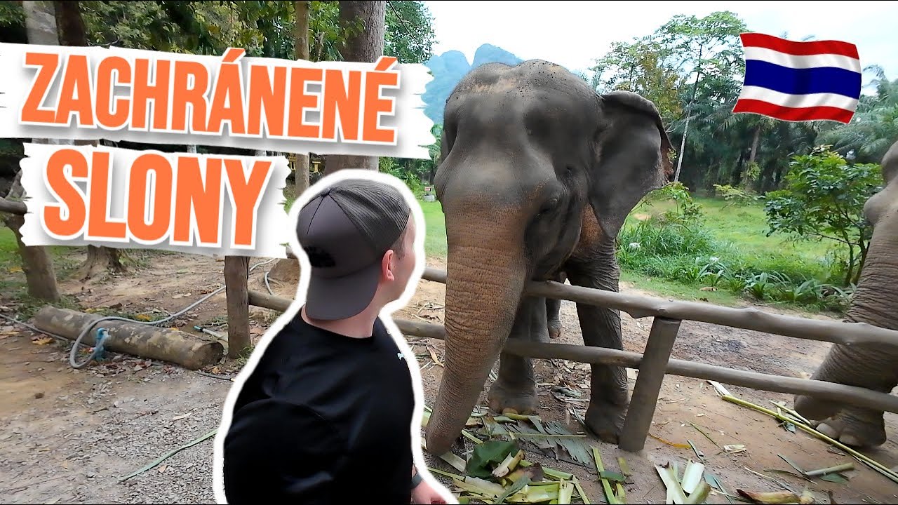 TOTO MIESTO MUSÍTE V THAJSKU NAVŠTÍVIŤ! 🐘