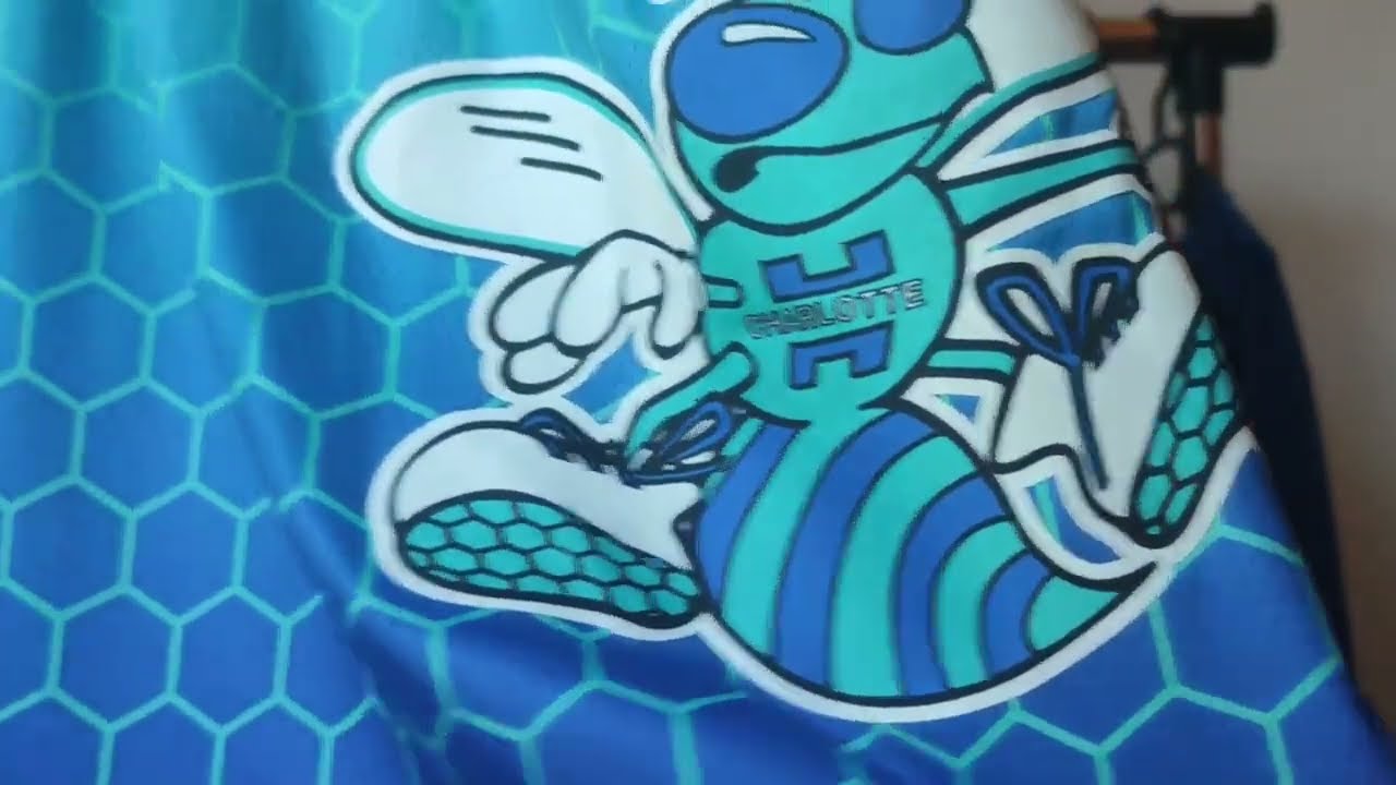 Баскетбольная форма 2021 Jordan NBA Charlotte Hornets LaMelo Ball City Edition Blue Print