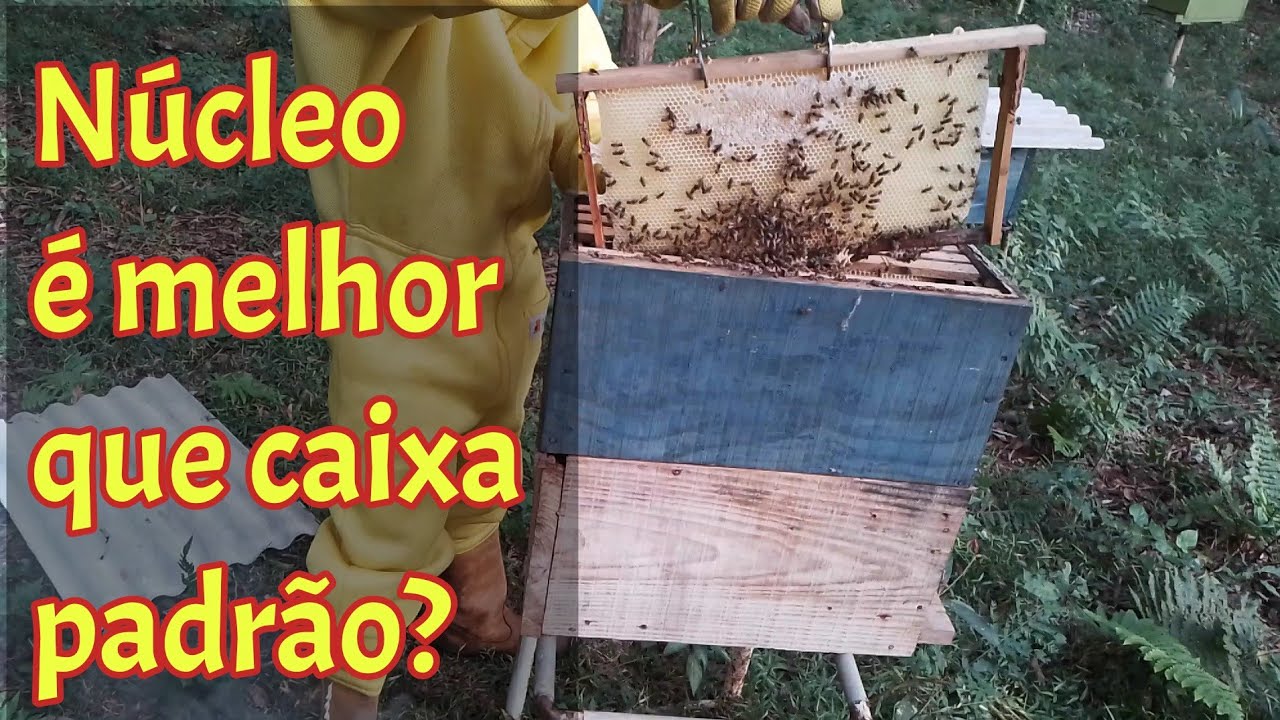 Núcleos Palmer, como se comportam no inverno... é melhor que caixa padrão?