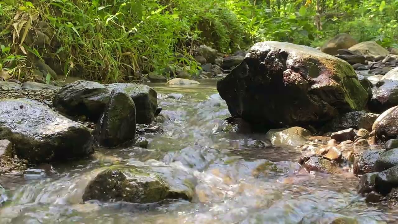 Relaxing Water Mills on Calm River・No Music・1 hour of pure nature