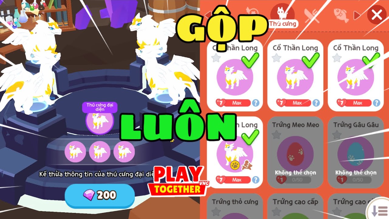 Play Together | Mình Mở Khóa 4 Pet Bay Mới Và Thử Ghép Pet Mới