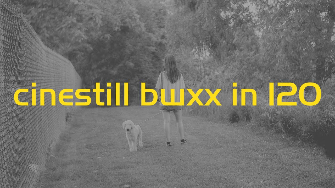 cinestill bwxx 120 first roll review