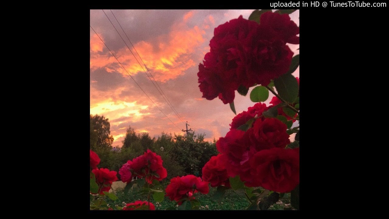 *FREE* sad lil peep x lo-fi type beat - broken [prod. metlast]