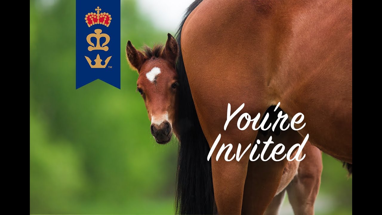 Feed Your Way to Pregnancy Webinar #3,  Mare Success-From Breeding to Foaling