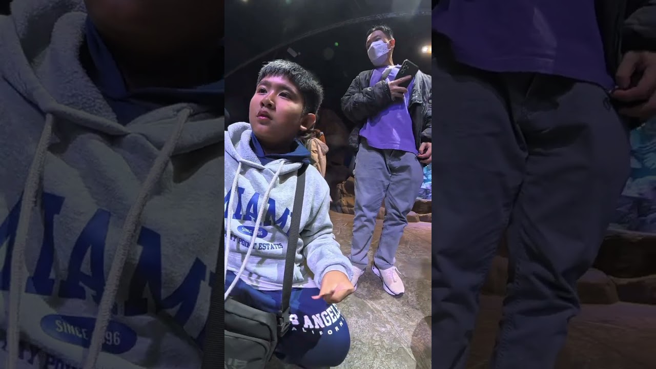 HK Ocean Park part 2