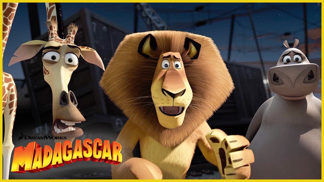 ¡Conoce a la pandilla! 🦁🦒🦛 | DreamWorks Madagascar en Español Latino