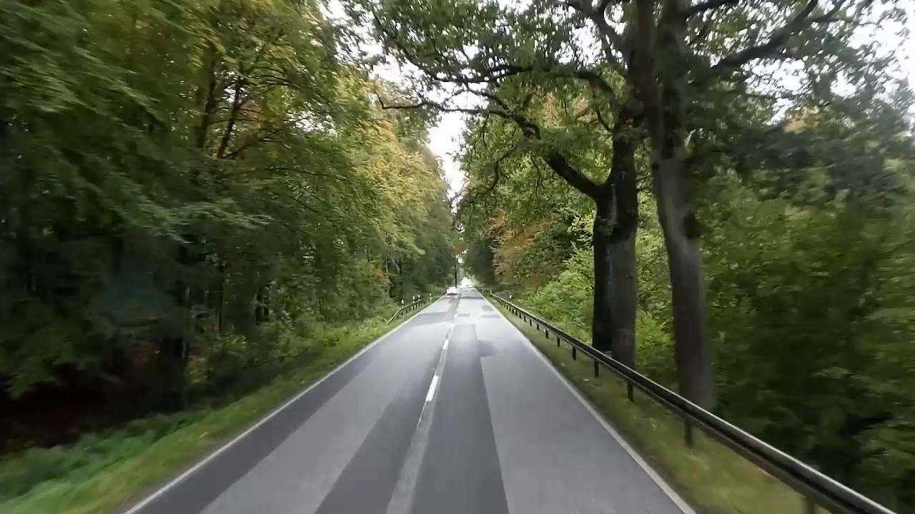Dojce sume i keba, ruje I putin...