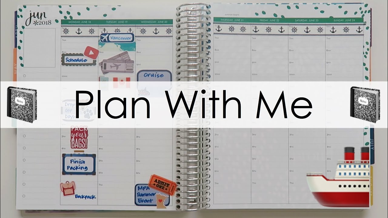 Plan With Me | June 18th - 24th | Erin Condren Hourly