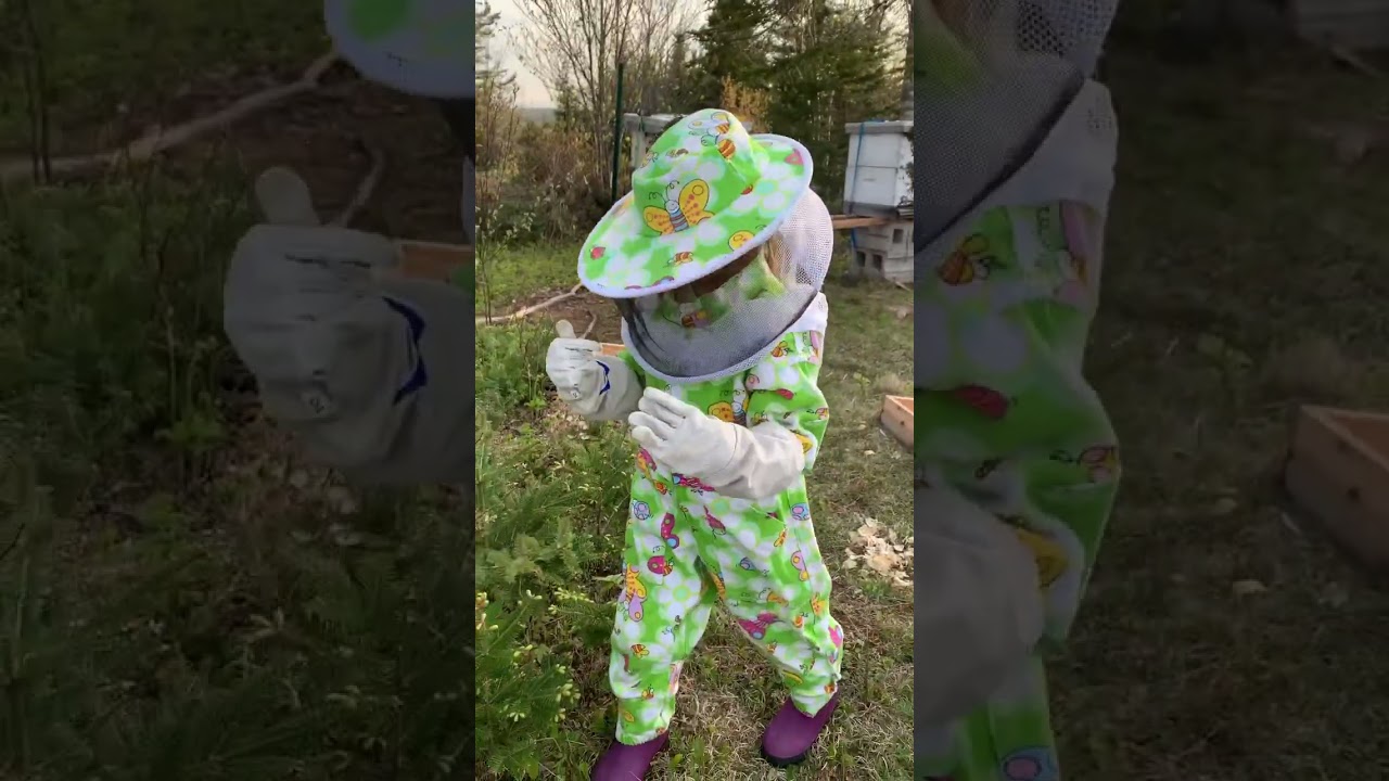 6 Year Old Beekeeper has lots of bees on her head and back