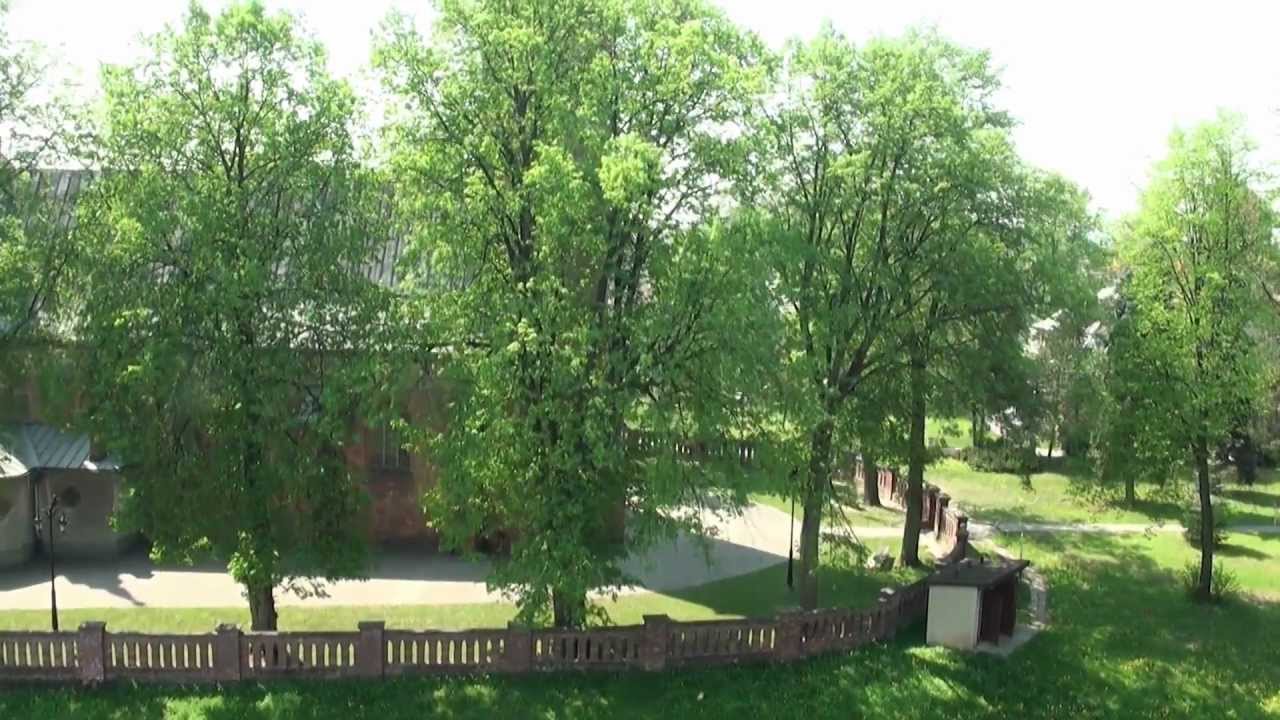Radł&oacute;w z lotu ptaka
