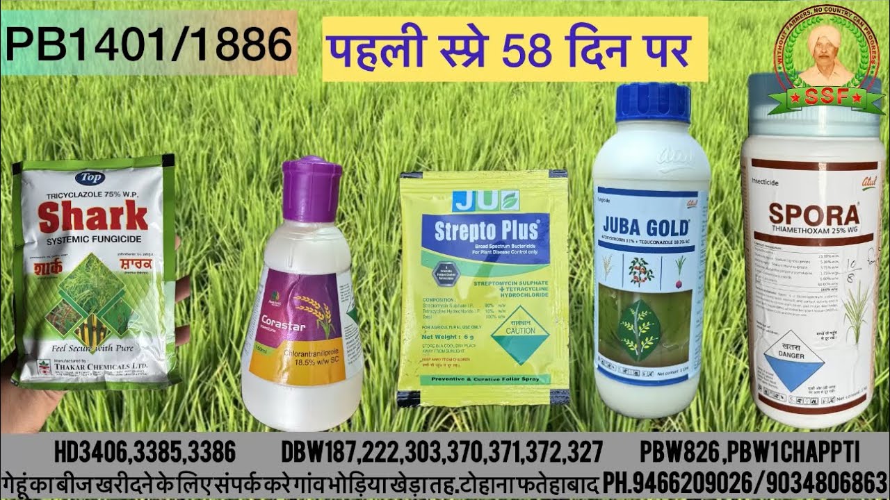 PB1401/PB1886 पहली स्प्रे details.#dhan #agriculture #icar  #pb1401 #pb1886 #fungicides #stemborer