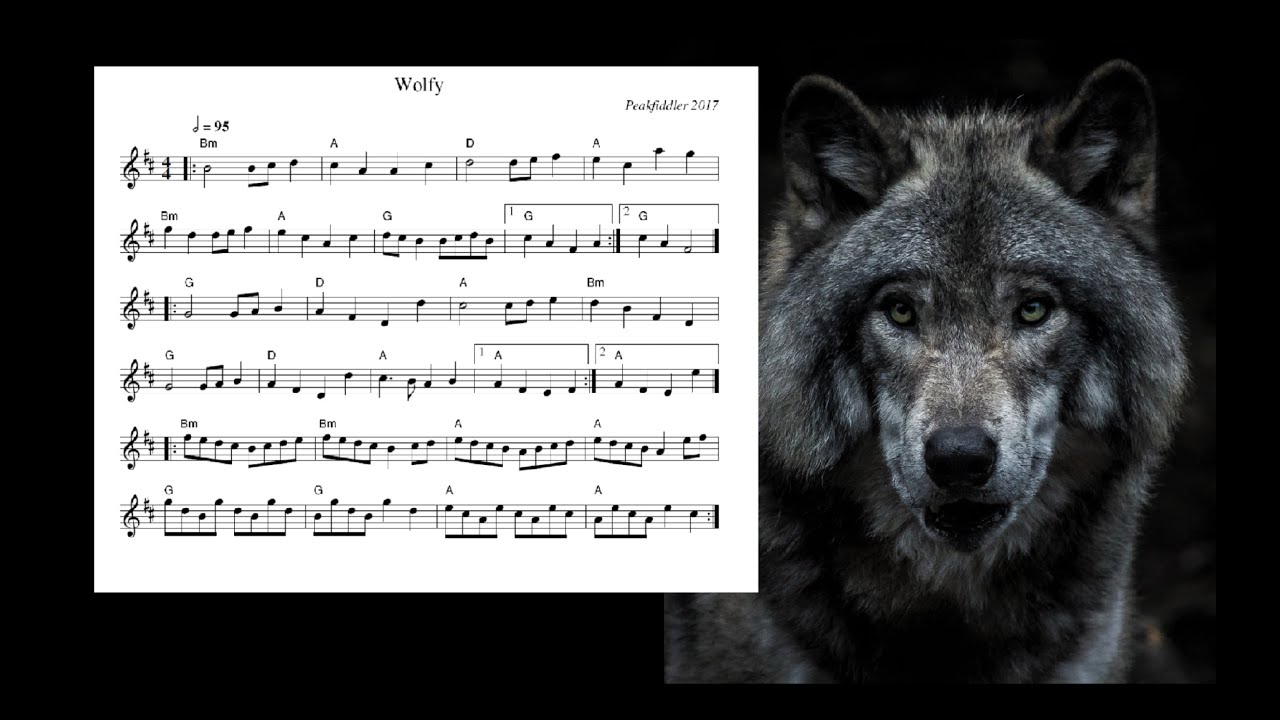 Celtic Folk Rock  - Wolfy - 1/2
