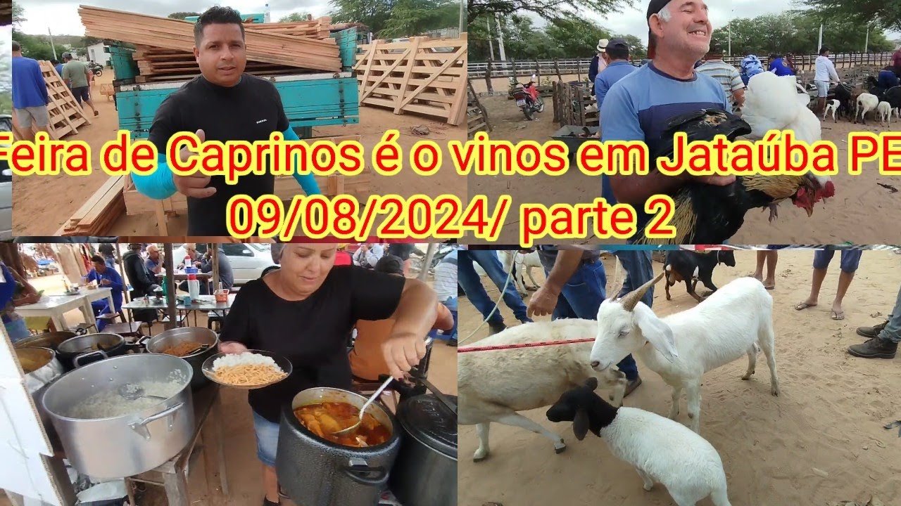 Feira de Caprinos é o vinos em Jataúba PE 09/08/2024/ parte 2