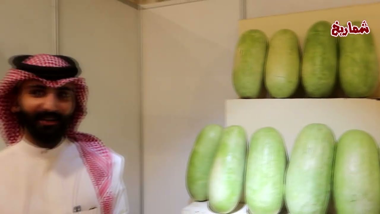 مهرجان حبحب ساجر الأول - الجزء الثاني