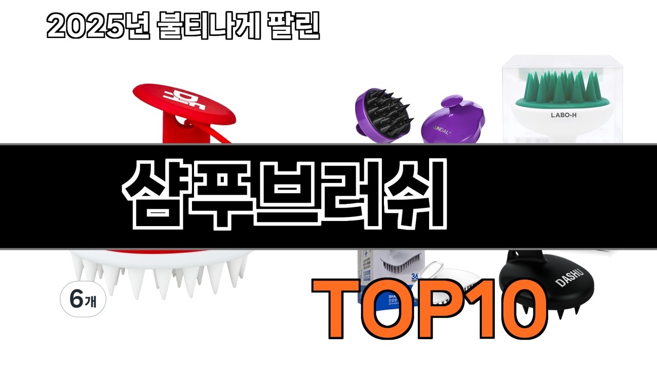 가장 인기 있는 샴푸브러쉬 추천 BEST10