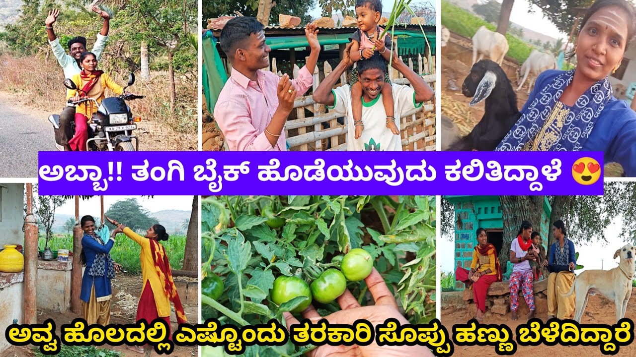 ಅಬ್ಬಾ!! ತಂಗಿ ಬೈಕ್ ಹೊಡೆಯುವುದು ಕಲಿತಿದ್ದಾಳೆ 😍 / ಅವ್ವ ಹೊಲದಲ್ಲಿ ಎಷ್ಟೊಂದು ತರಕಾರಿ ಸೊಪ್ಪು ಹಣ್ಣು ಬೆಳೆದಿದ್ದಾರೆ